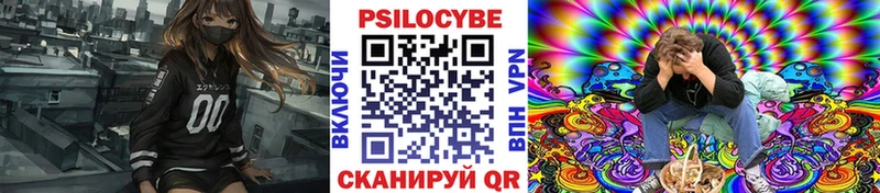 где купить   Среднеколымск  Псилоцибиновые грибы Magic Shrooms 